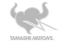 TAMASHII NATIONS