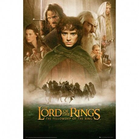 PÓSTER MAXI LORD OF THE RINGS FELLOWSHIP OF THE RING 91,5 X 61