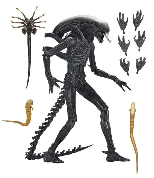 FIGURA ULTIMATE ALIEN: ROMULUS - XENOMORPH XX121 18 CM