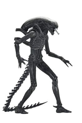 FIGURA ULTIMATE ALIEN: ROMULUS - XENOMORPH XX121 18 CM