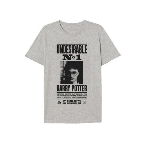 CAMISETA UNDESIRABLE HARRY POTTER GRIS NIO TALLA 8A